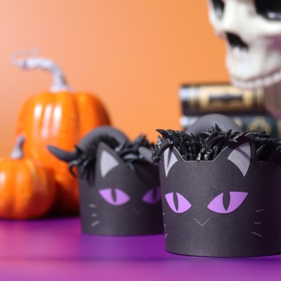 PME SET DE 12 MOLDES+CÁPSULA HALLOWEEN GATO NEGRO