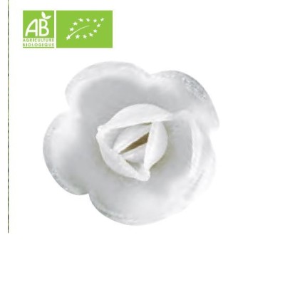 Introducing the "FLORENSUC SET OF 20 MINI BIO WAFER ROSES Ø30MM" – perfect for adding a delicate and elegant touch to your cakes