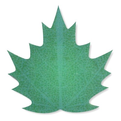 MODECOR SET 272 REALISTIC WAFER LEAVES 6/7/8 CM STA