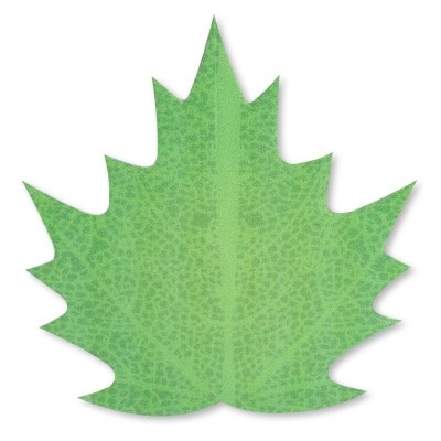 MODECOR SET 272 REALISTIC WAFER LEAVES 6/7/8 CM STA