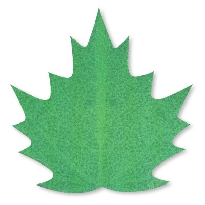 MODECOR SET 272 REALISTIC WAFER LEAVES 6/7/8 CM STA